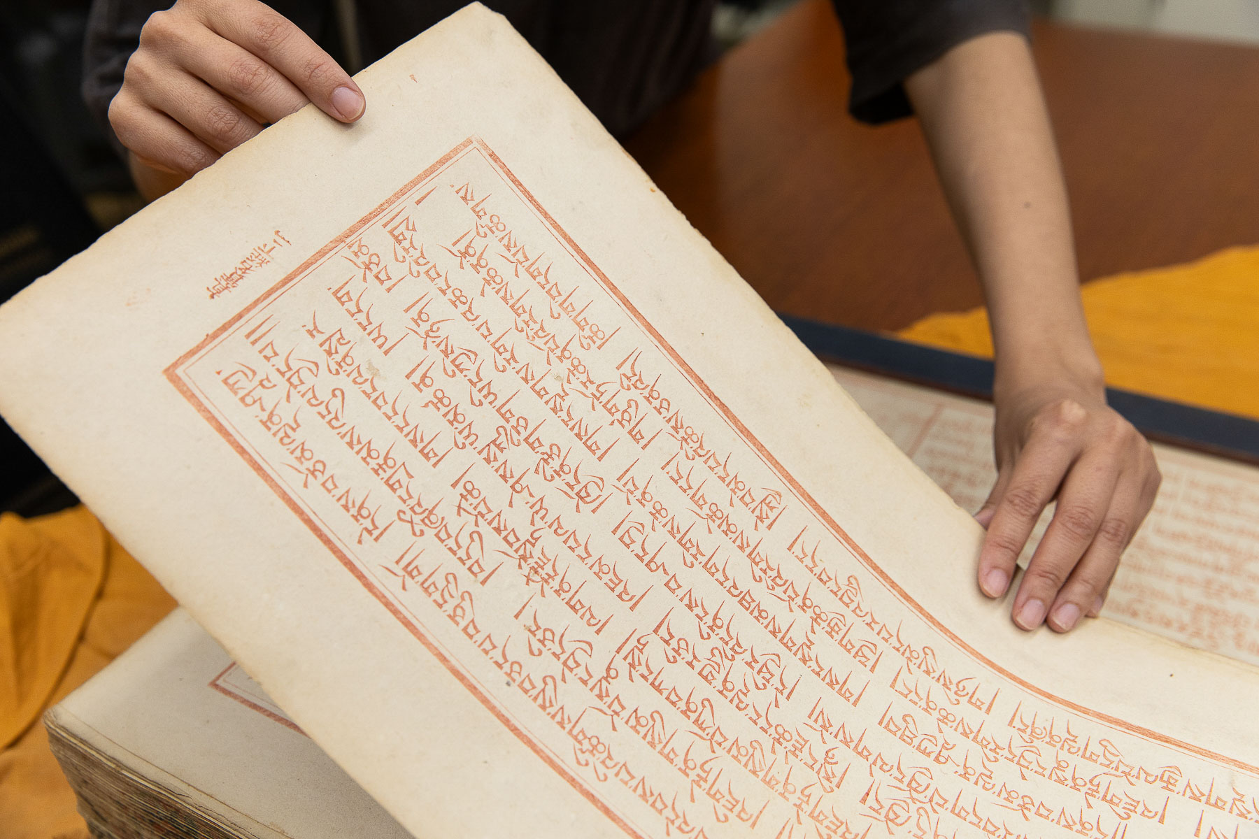A preserved Tibetan sacred text block print