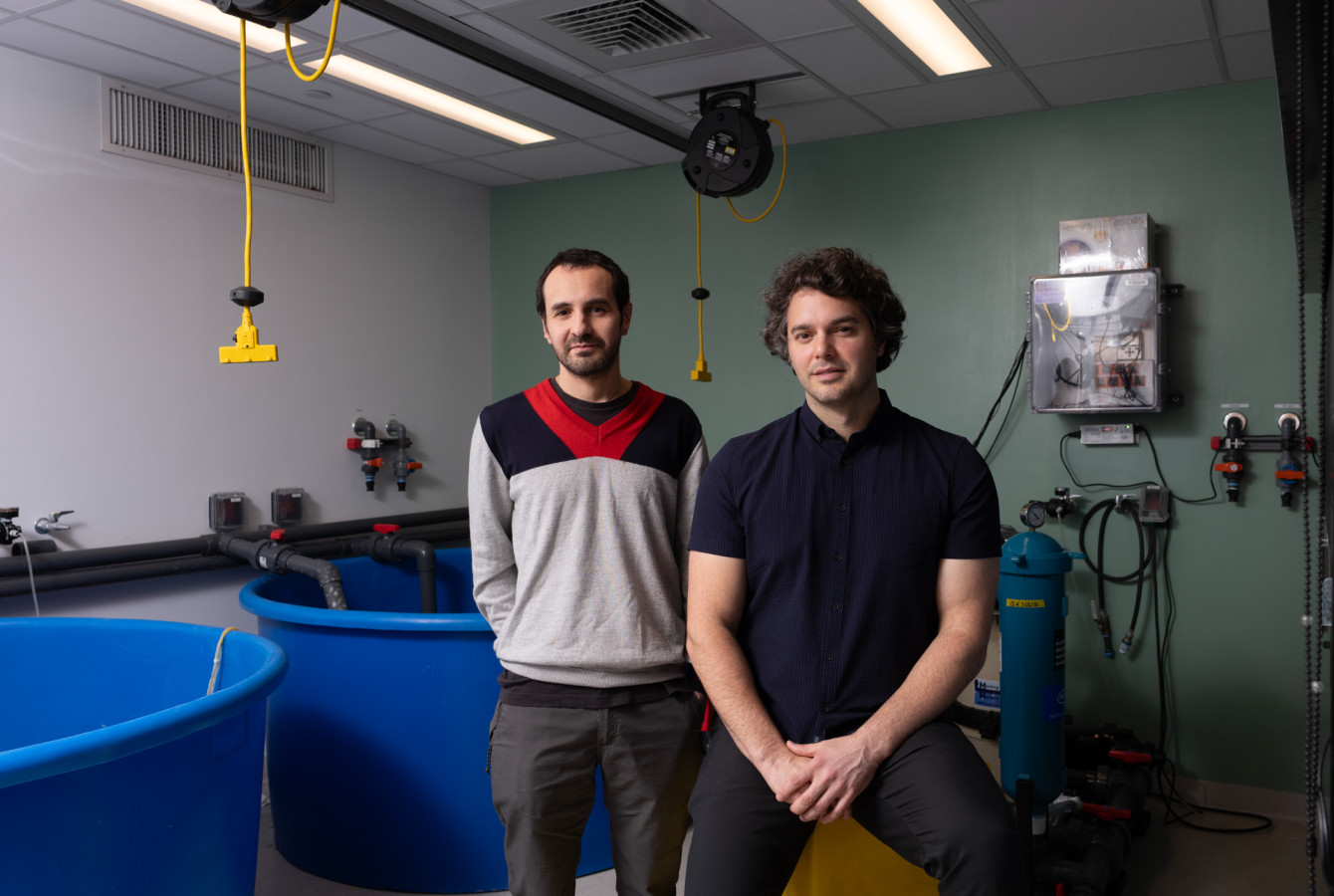 Pablo Villar and Nicholas Bellono stand in their lab before two saltwater tanks, used to study octopus behavior.