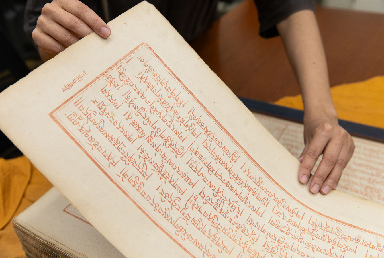 A preserved Tibetan sacred text block print