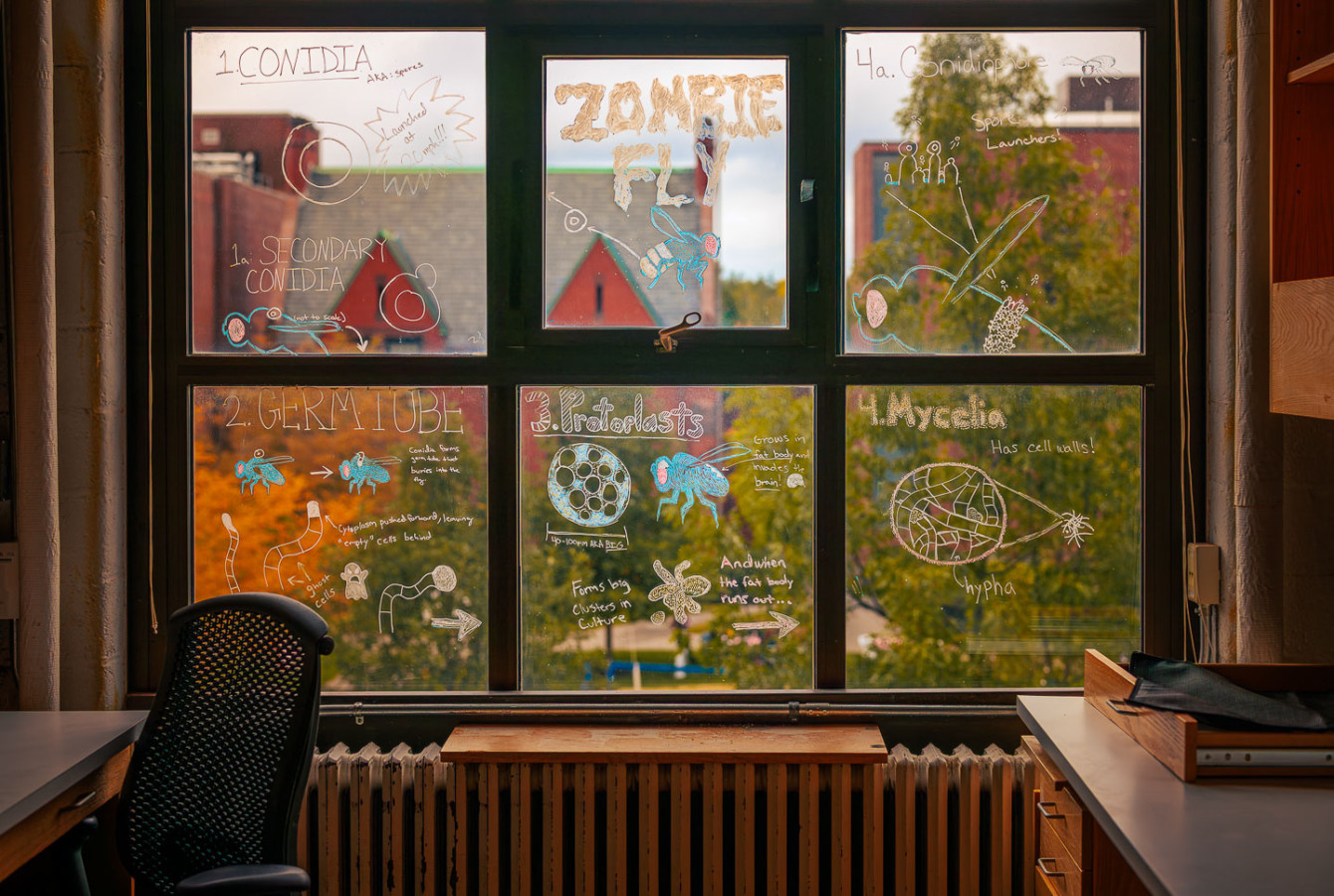 A decorated office wall looking out into the Bio Labs courtyard