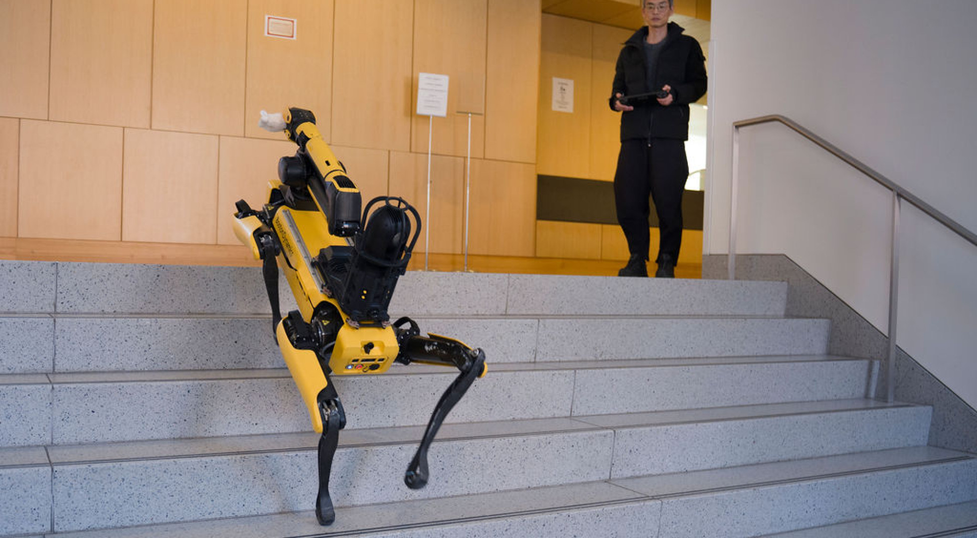 A yellow Boston Dynamics Spot robot clears a set of stairs at the direction of Anthropology Professor Ryo Morimoto, who is seen operating a controller in the background. Both are pictured in the Tozzer Anthropology Building on the Harvard University campus.