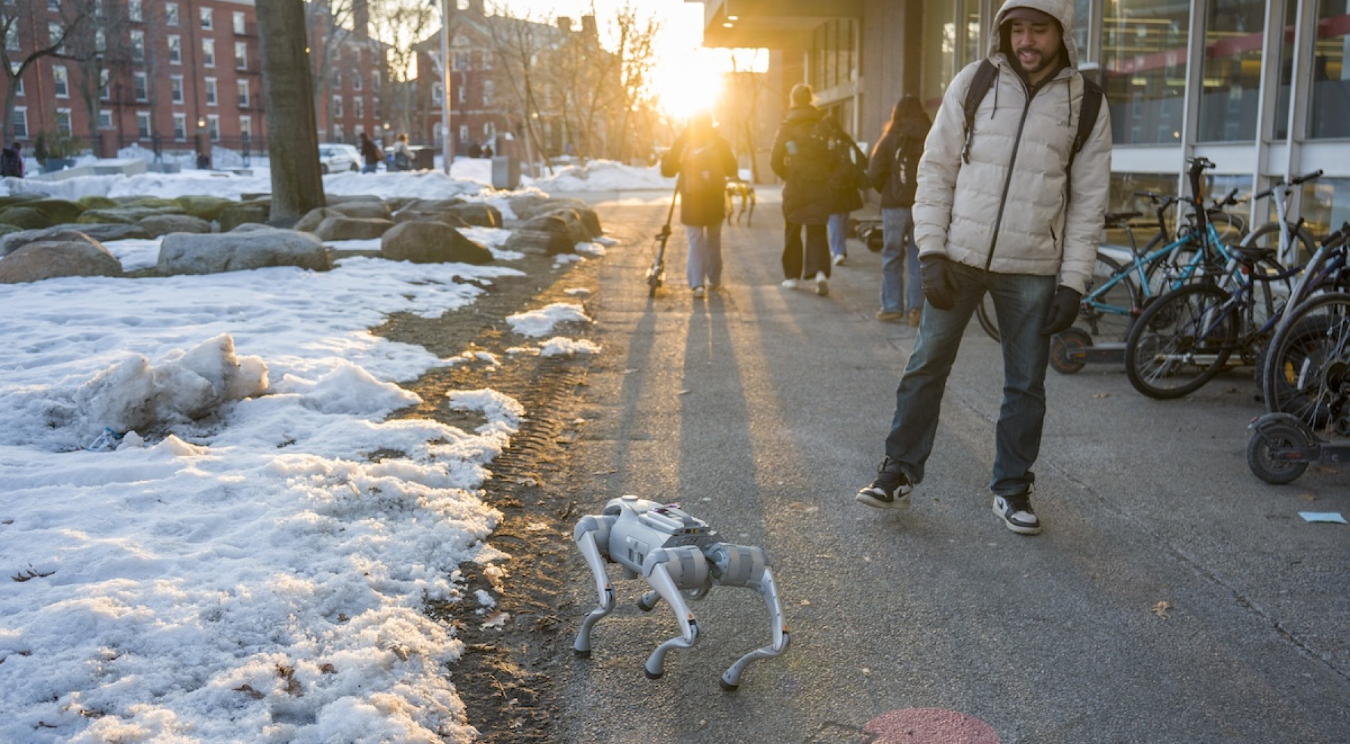 Student Kuma McCraw steps back to look at the silver Go2 Edu robot. Both are pictured outside the Science Center on Harvard University's campus.