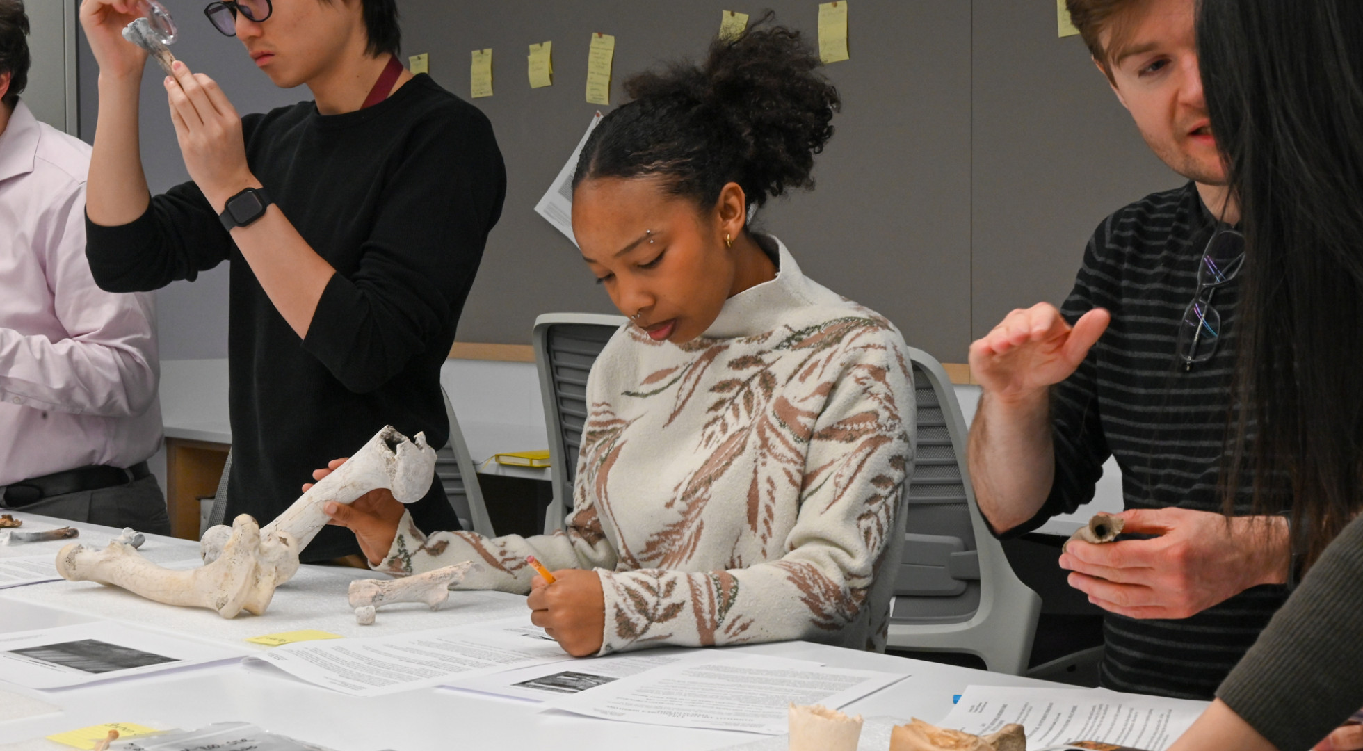 Graduate student Elyse Venerable inspected bones in the Zooarchaeology Lab at Harvard University.