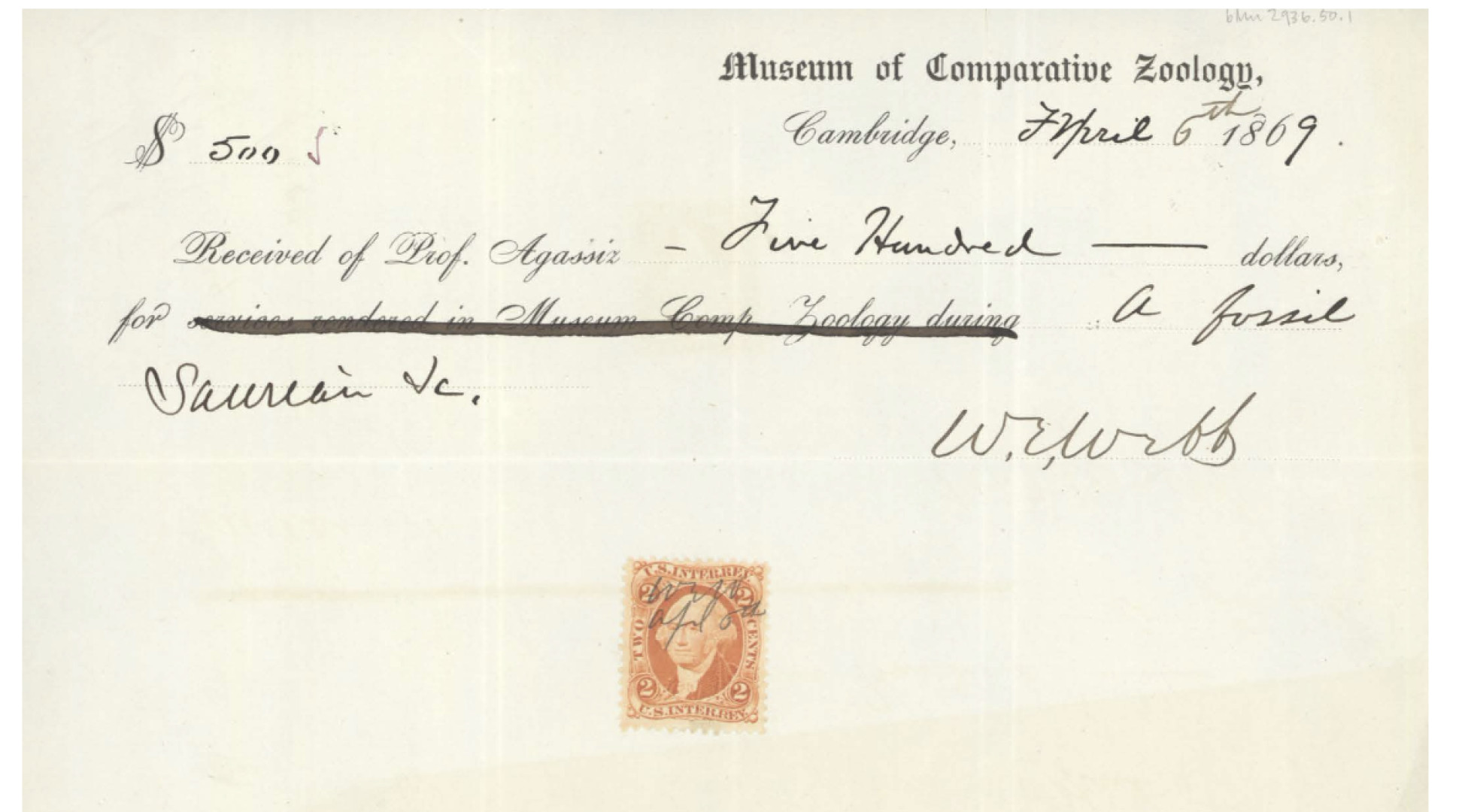 Museum of Comparative Zoology staff recovered a handwritten receipt of the 1869 purchase of the fossil by the late Harvard professor Louis Agassiz. 