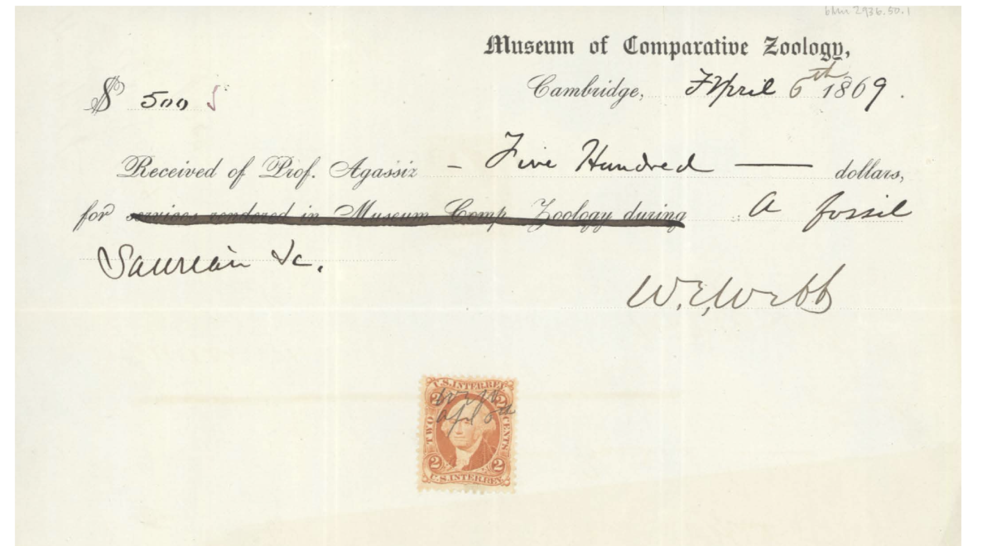 Museum of Comparative Zoology staff recovered a handwritten receipt of the 1869 purchase of the fossil by the late Harvard professor Louis Agassiz. 