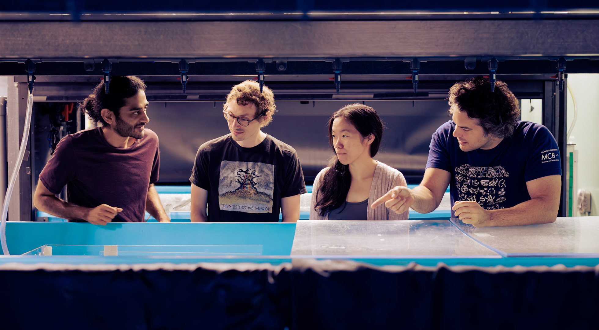 Gathering at a set of octopus tanks at Harvard University are postdoctoral fellows Rishav Mitra and Trey Scott and professors Amy Lee and Nicholas Bellono
