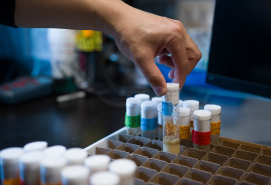 A hand pulling a test tube from a collection of samples