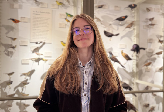 Harvard College senior Alyssia Wiesenbauer in the Harvard Museum of Natural History's Birds of the World gallery