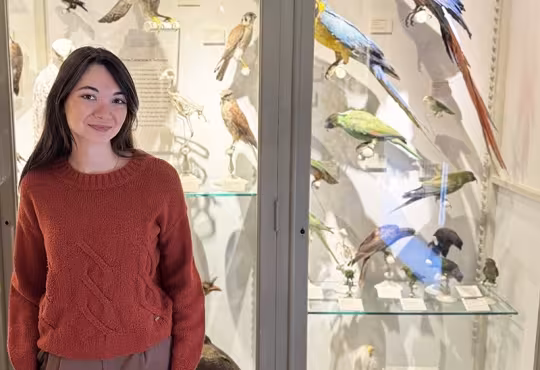 Harvard College student Lauren Bartel is pictured before a display of taxidermy bird mounts at the Harvard Museum of Natural History.