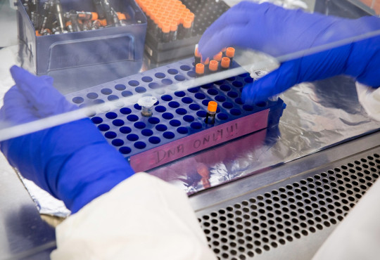 View of a pair of hands in a lab coat and gloves handling tubes labeled “DNA ONLY”