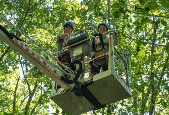 Tom Weber and mentor Laura Ostrowsky in a bucket lift at Harvard Forest