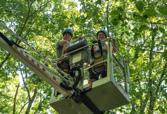 Tom Weber and mentor Laura Ostrowsky in a bucket lift at Harvard Forest