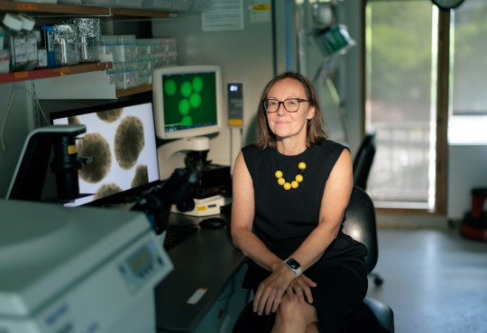 Paola Arlotta sitting in her lab by her computer