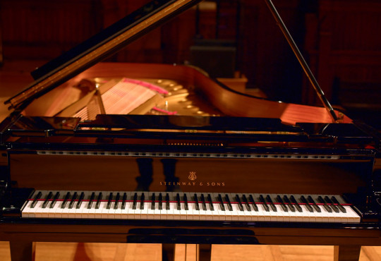 Close-up view of a Steinway Model D concert grand piano