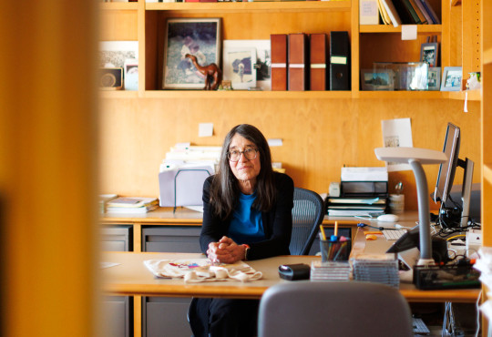 Elizabeth Spelke, Marshall L. Berkman Professor of Psychology, in her office at Harvard University