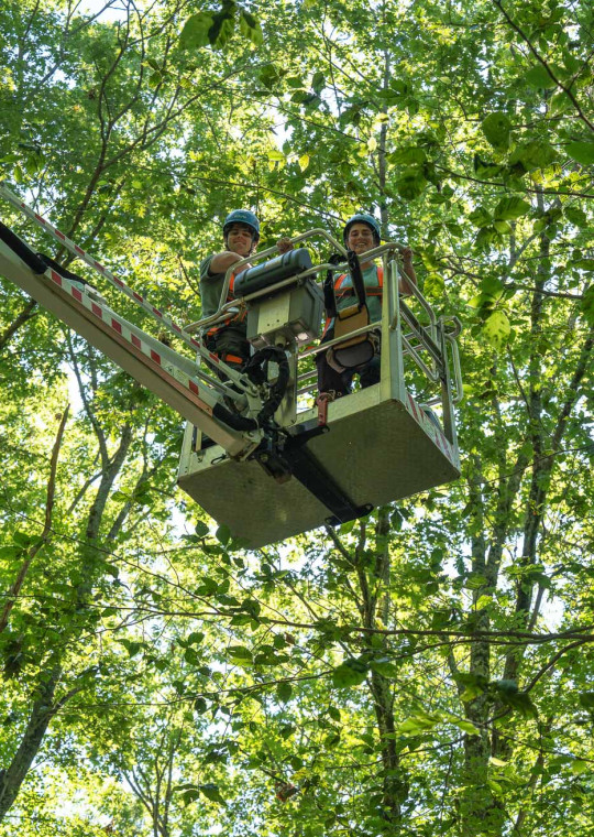 Tom Weber and mentor Laura Ostrowsky in a bucket lift at Harvard Forest