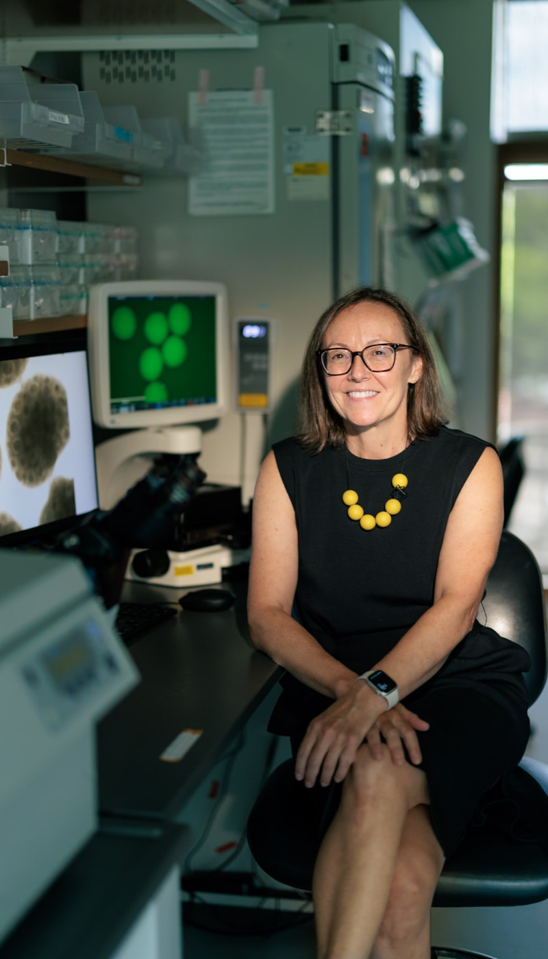 Paola Arlotta sitting in her lab