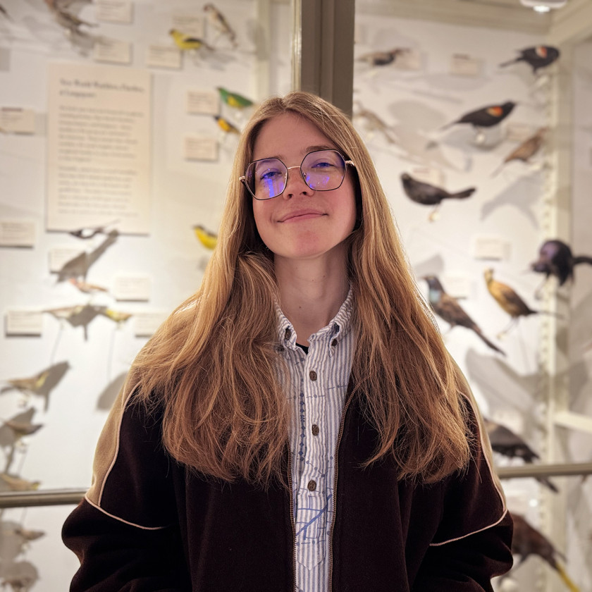Harvard College senior Alyssia Wiesenbauer in the Harvard Museum of Natural History's Birds of the World gallery