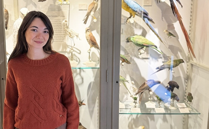 Harvard College student Lauren Bartel is pictured before a display of taxidermy bird mounts at the Harvard Museum of Natural History.