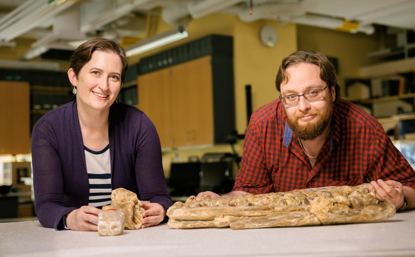 Museum of Comparative Zoology collections manager Christina Byrd, at left, and MCZ fossil preparator Scott Johnston pose with a Tylosaurus proriger fossil jaw.