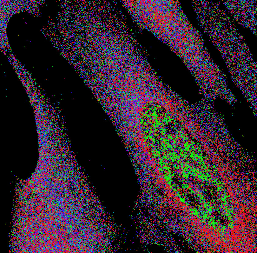 Multiplexed error‑robust fluorescence in situ hybridization (MERFISH) image of 10,050 genes in individual cells