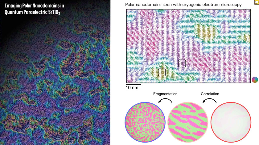 Cryogenic electron microscopy enabled to observe nanoscale polar domains