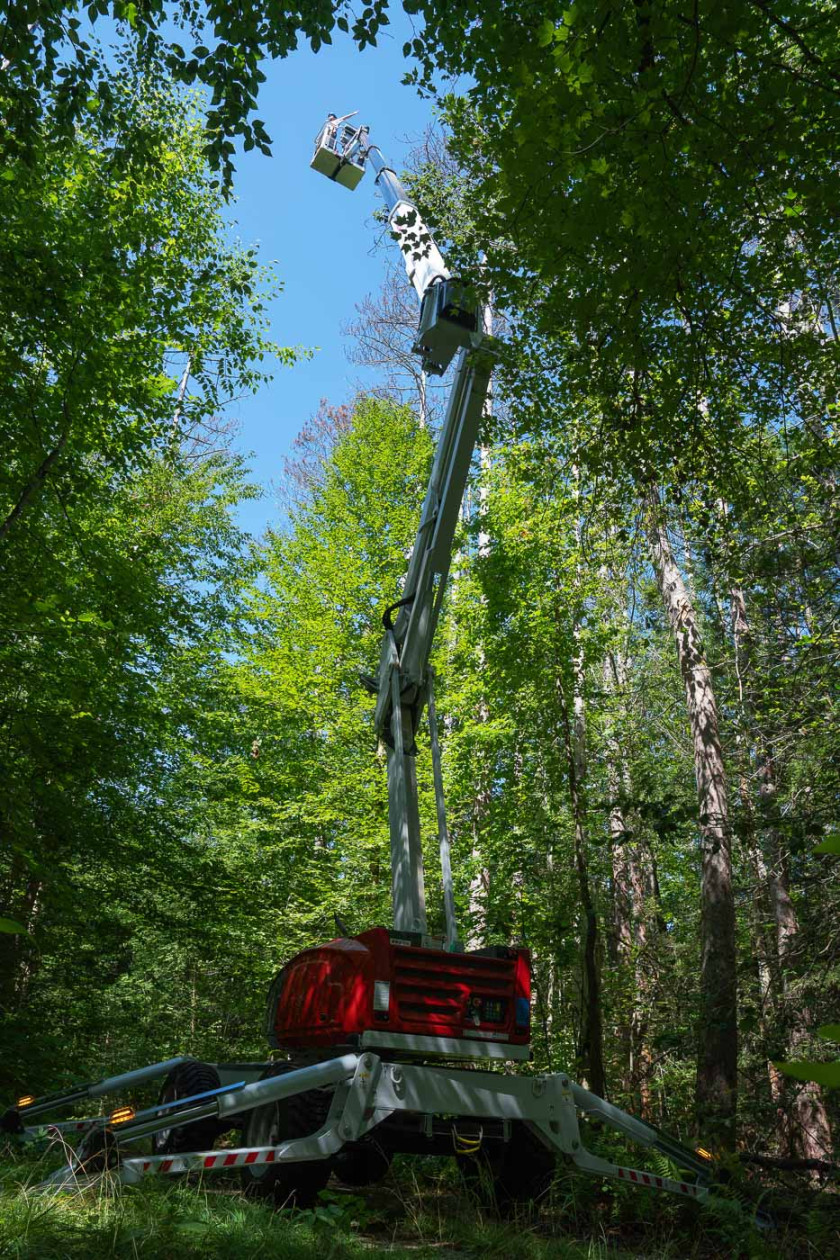 Wide view of a bucket lift used to study the tree canopy